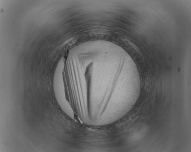 X0000087390821200705181305