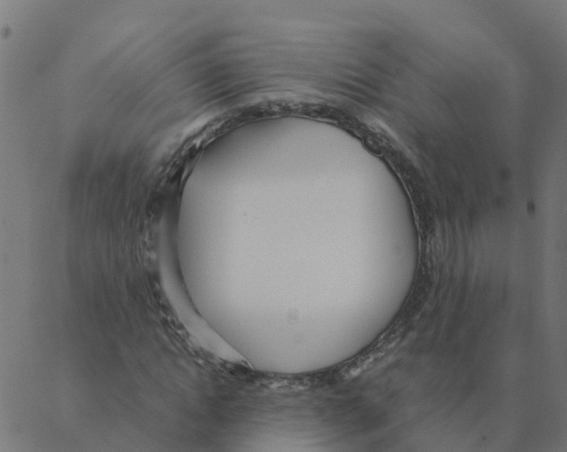 X0000087390822200705181305