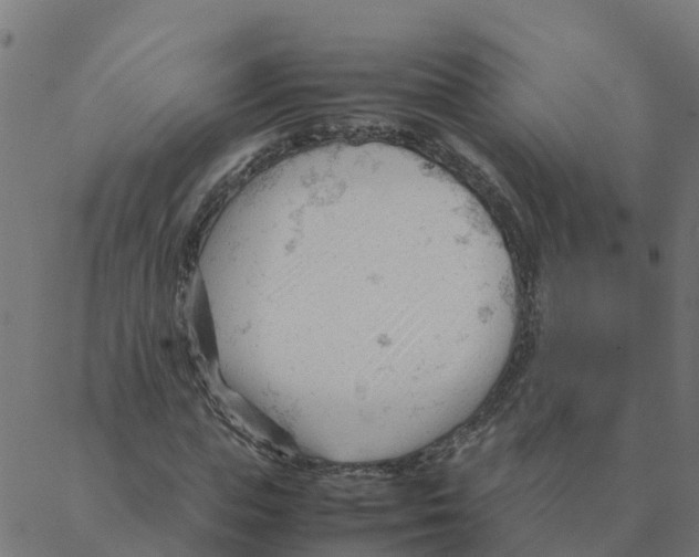 X0000087390823200705181305