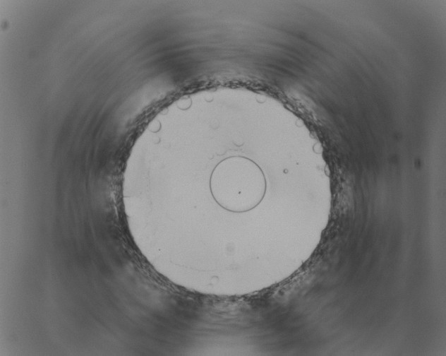 X0000087390824200705181305