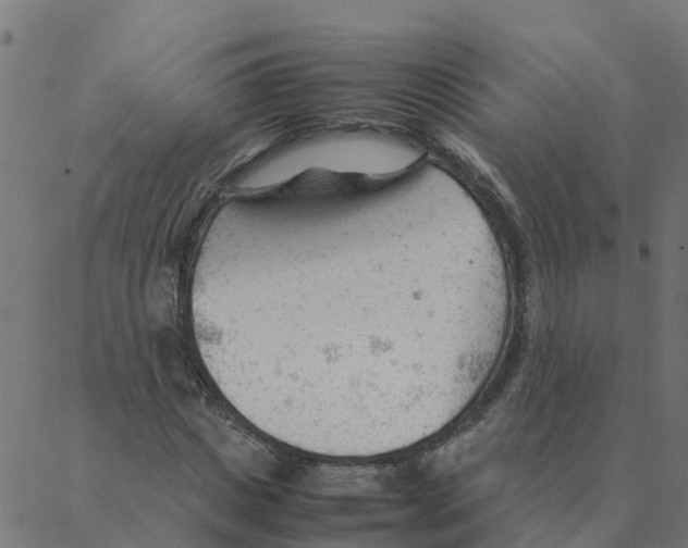 X0000087390825200705181305