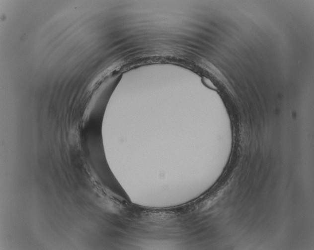 X0000087390826200705181305