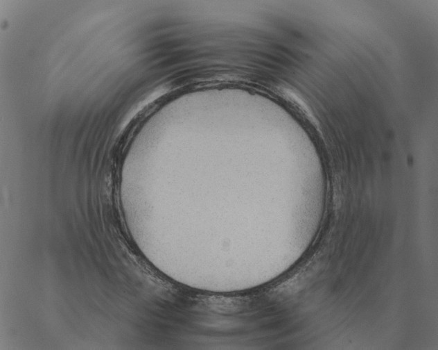 X0000087390827200705181305