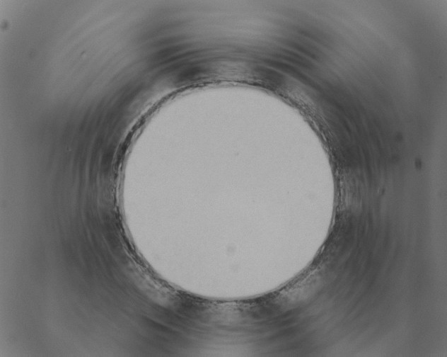 X0000087390828200705181305