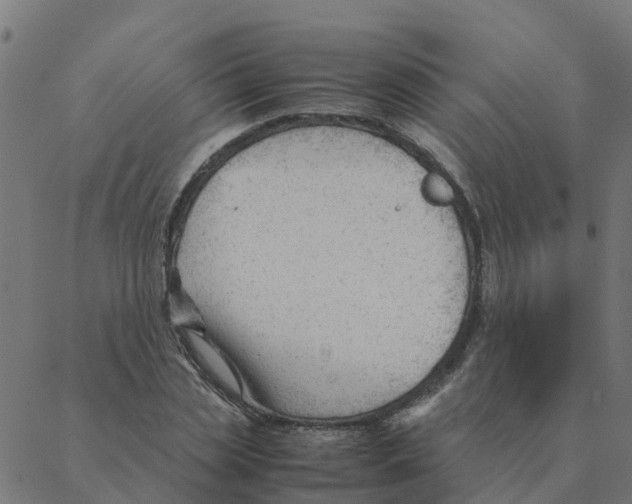 X0000087390829200705181305