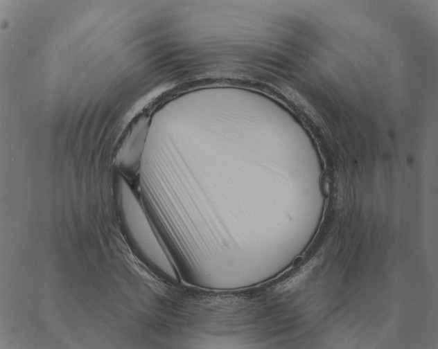 X0000087390830200705181305