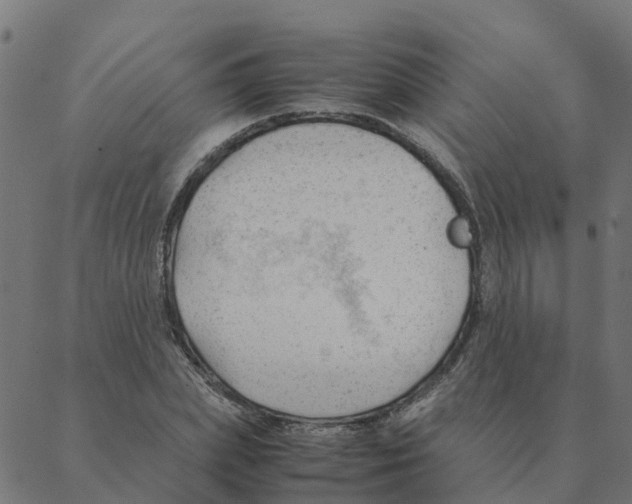 X0000087390831200705181305