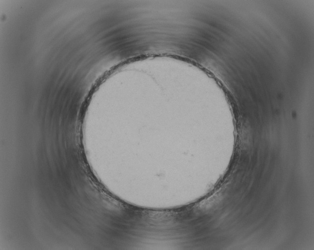 X0000087390832200705181305