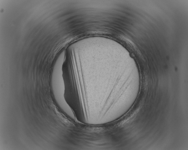 X0000087390833200705181305