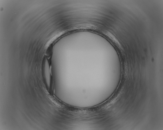 X0000087390834200705181305