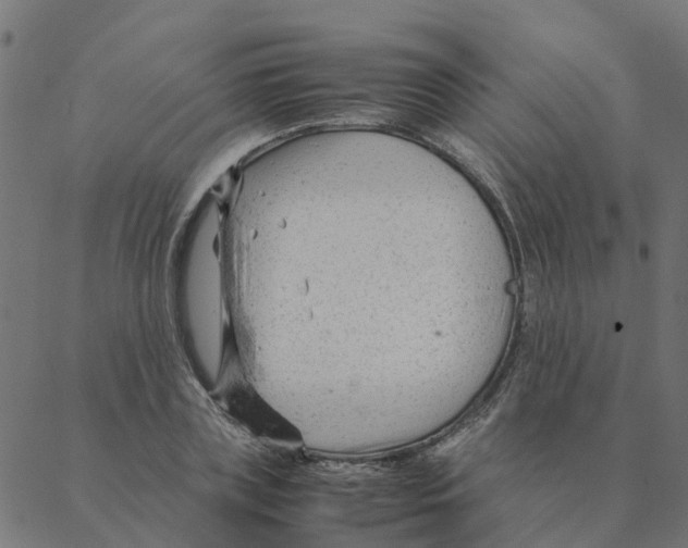 X0000087390835200705181305