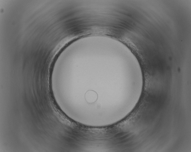 X0000087390836200705181305