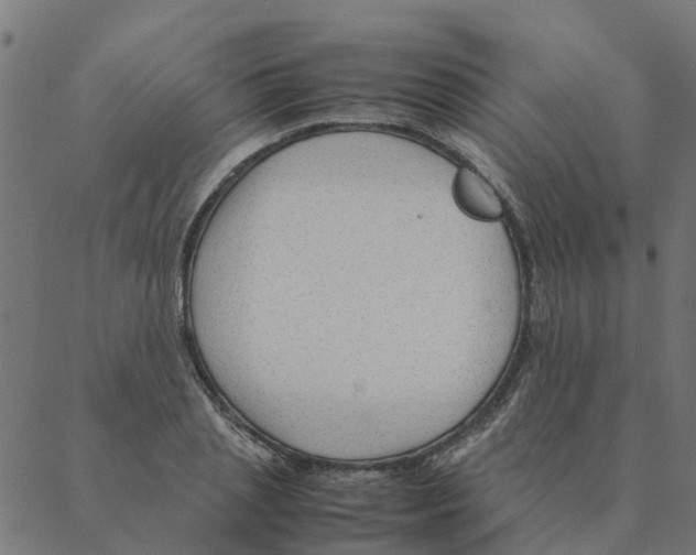 X0000087390837200705181305