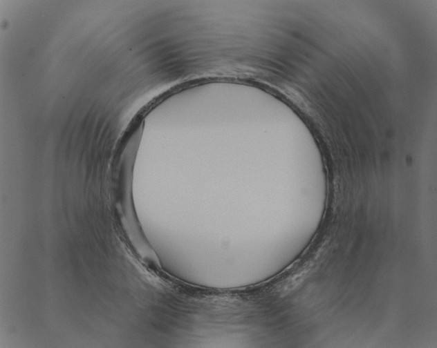 X0000087390838200705181305