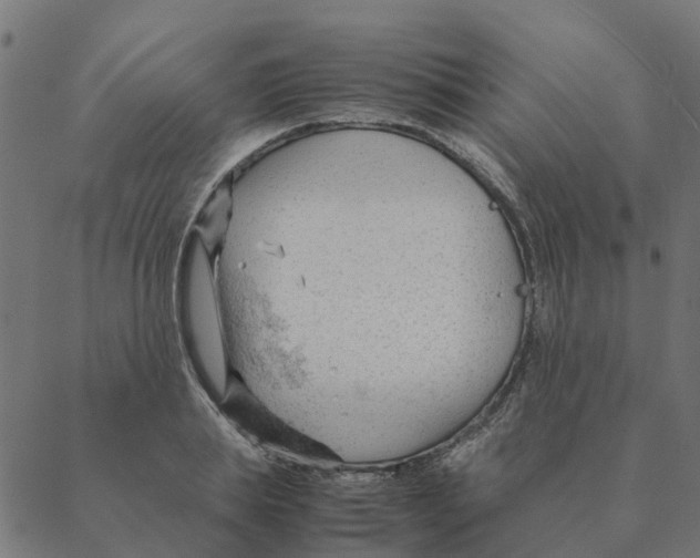 X0000087390839200705181305