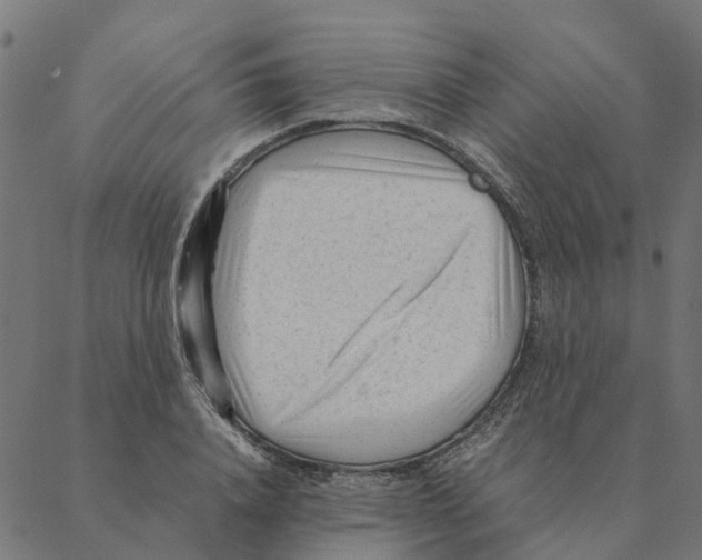 X0000087390840200705181305