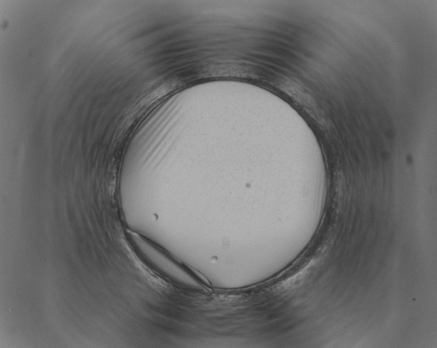 X0000087390841200705181305