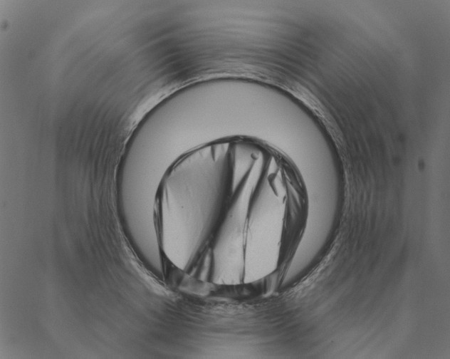 X0000087390842200705181305