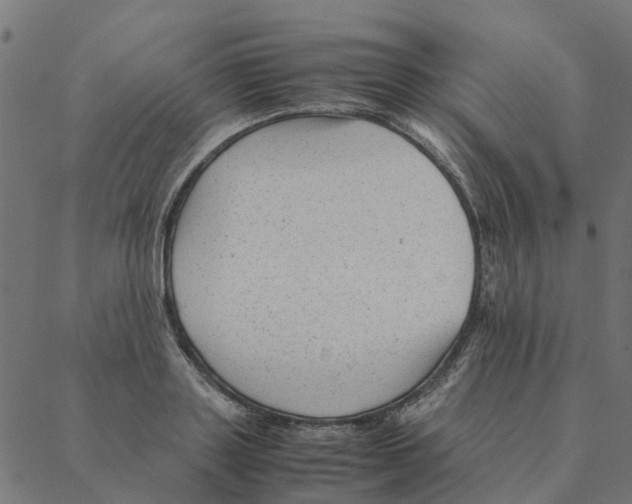 X0000087390843200705181305