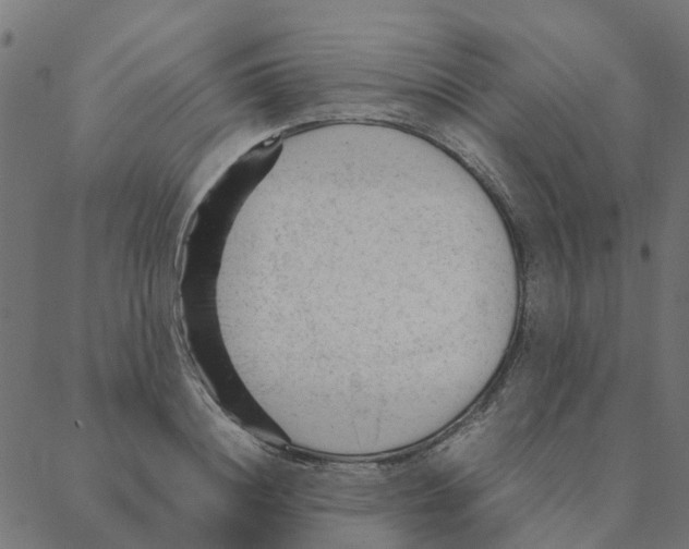 X0000087390844200705181305