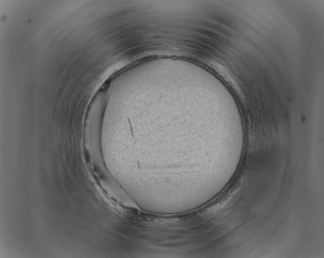 X0000087390845200705181305