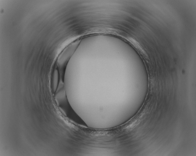 X0000087390846200705181305