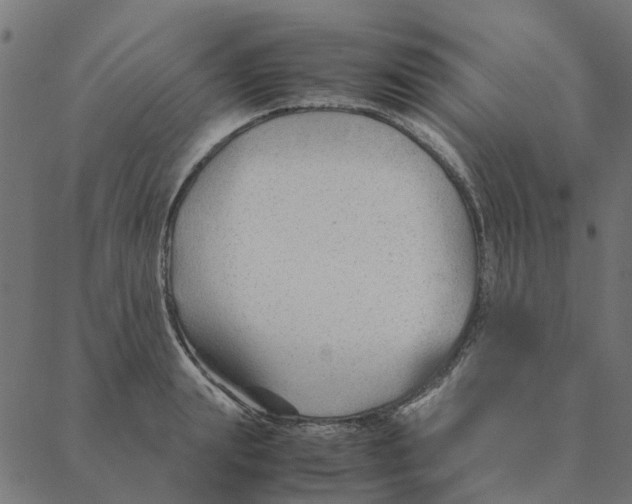 X0000087390847200705181305