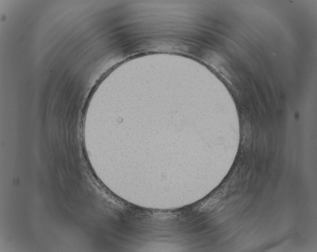 X0000087390848200705181305