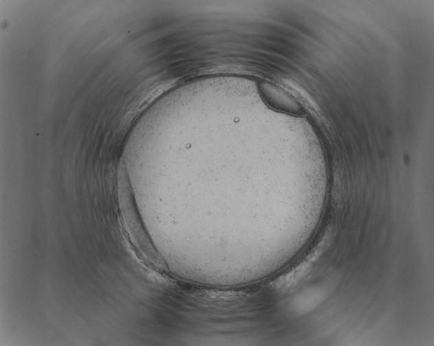 X0000087390849200705181305