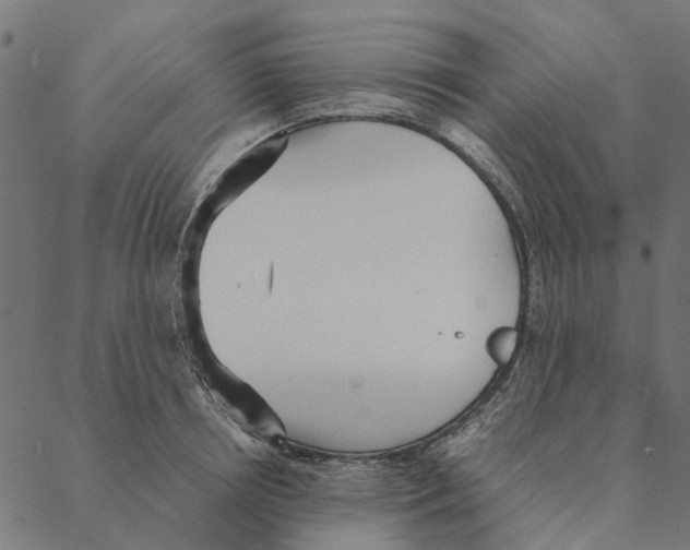 X0000087390850200705181305