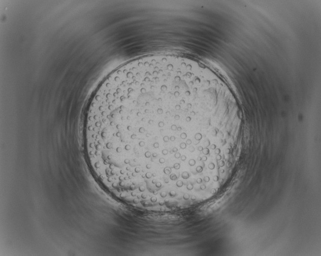 X0000087390851200705181305