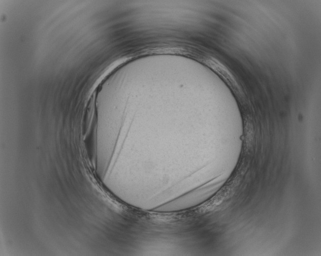 X0000087390852200705181305