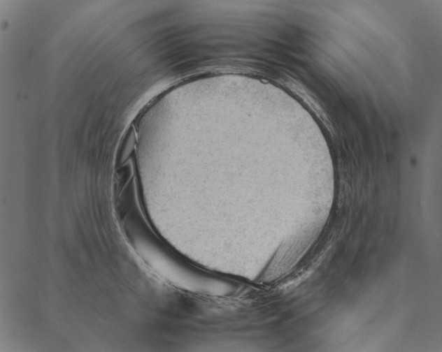 X0000087390853200705181305