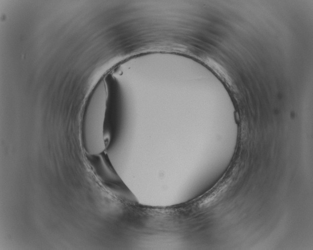 X0000087390854200705181305