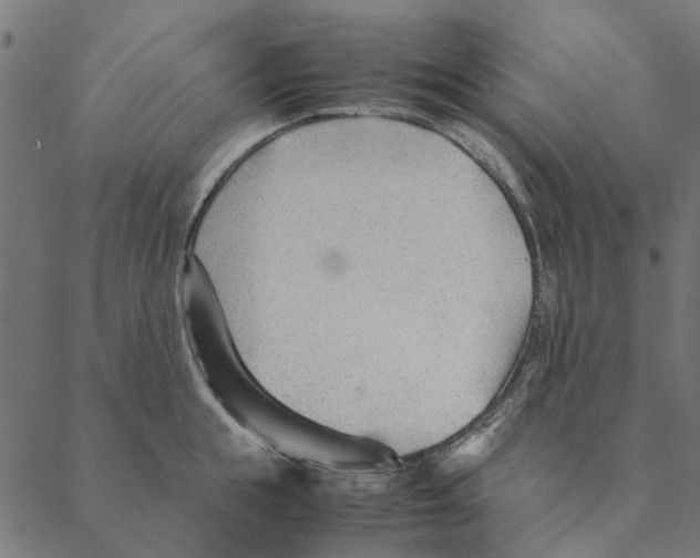 X0000087390855200705181305