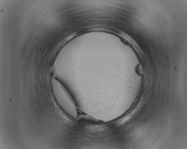 X0000087390857200705181305