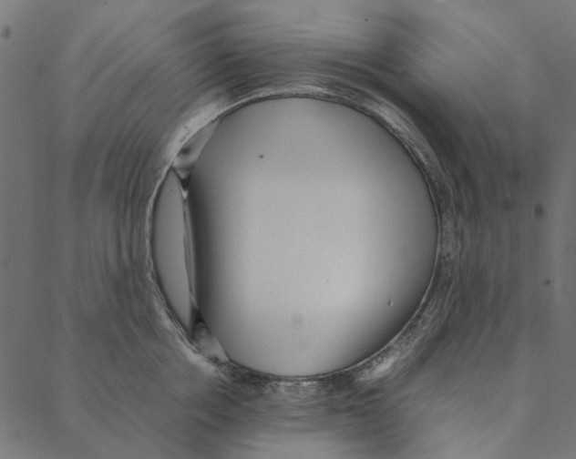 X0000087390858200705181305