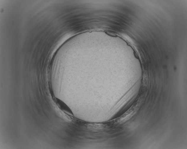 X0000087390859200705181305