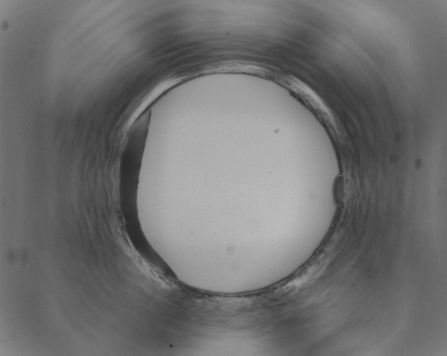 X0000087390860200705181305