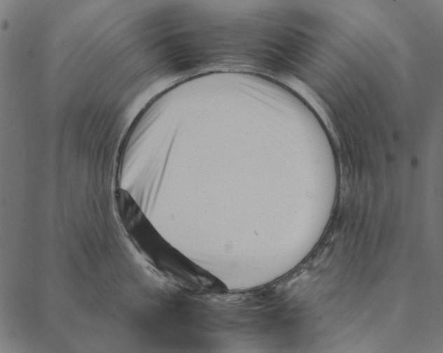 X0000087390861200705181305