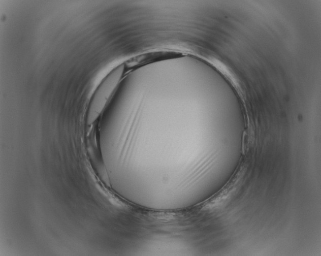 X0000087390862200705181305