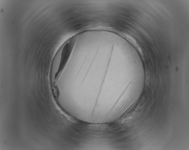 X0000087390863200705181305