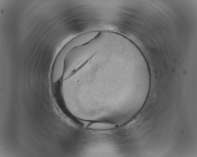 X0000087390864200705181305