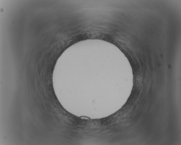 X0000087390865200705181305