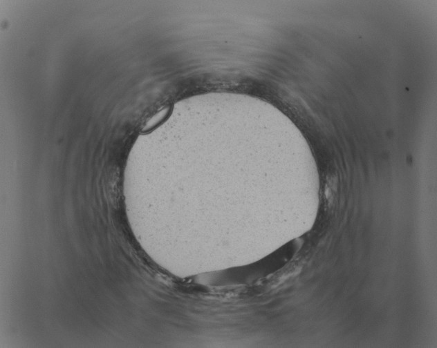 X0000087390867200705181305