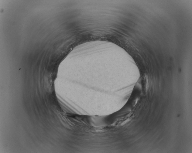 X0000087390868200705181305