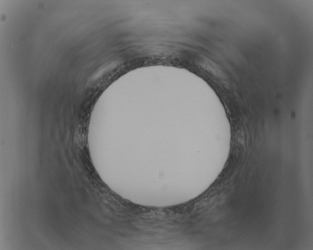 X0000087390869200705181305