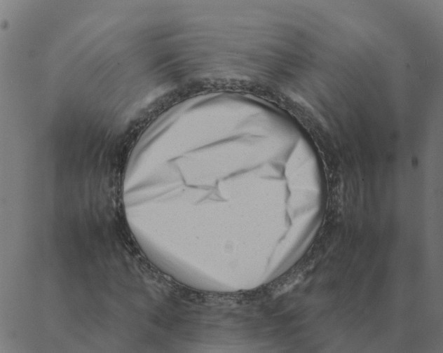 X0000087390870200705181305