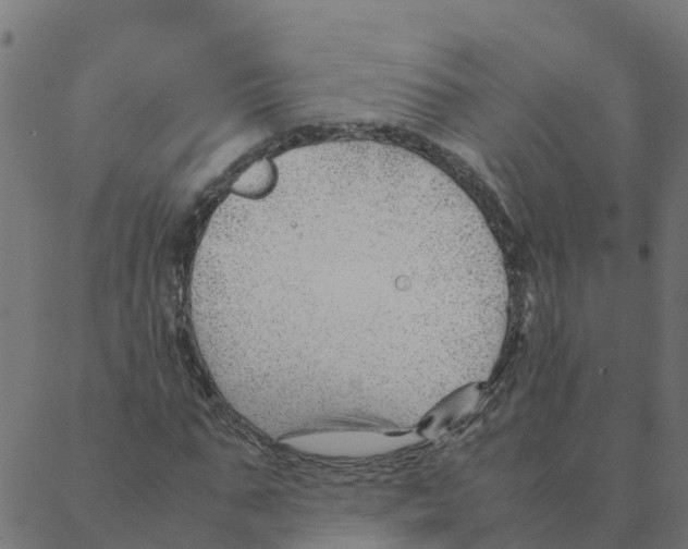 X0000087390871200705181305