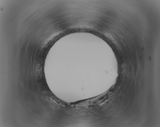 X0000087390872200705181305